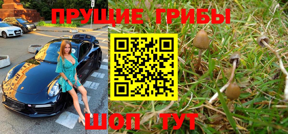 Псилоцибиновые грибы MAGIC MUSHROOMS  Псилоцибиновые грибы Psilocybe  Вход с VPN  Наро-Фоминск 